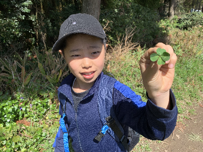 腰岳に登ろう!黒曜石拾い・石器づくり 腰岳に登ろう!黒曜石拾い・石器づくり
