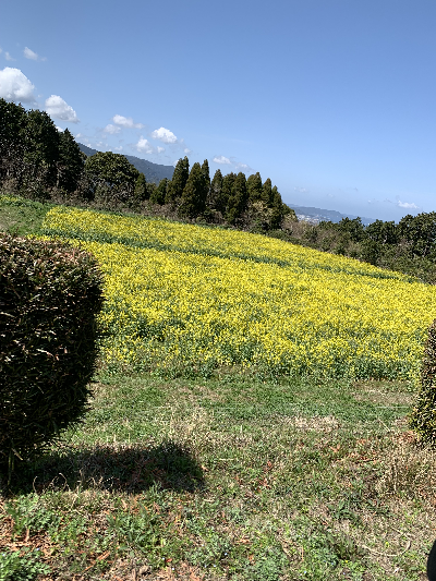 腰岳に登ろう!黒曜石拾い・石器づくり 腰岳に登ろう!黒曜石拾い・石器づくり