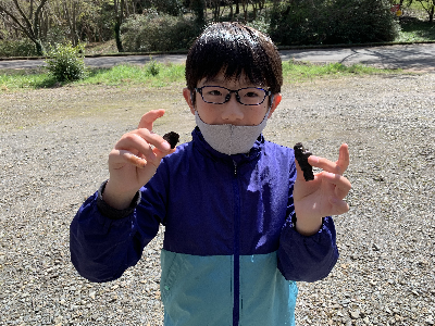 腰岳に登ろう!黒曜石拾い・石器づくり 腰岳に登ろう!黒曜石拾い・石器づくり