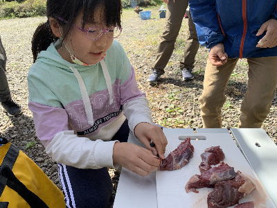 腰岳に登ろう!黒曜石拾い・石器づくり 腰岳に登ろう!黒曜石拾い・石器づくり
