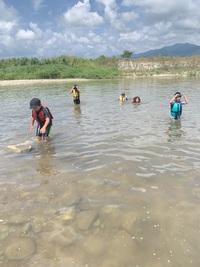 8月の野遊び:自然の夏を満喫