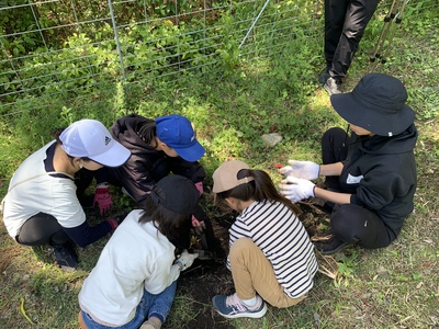 4月の野遊び:春を食べよう