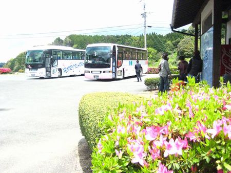 秘窯の里のこいのぼり