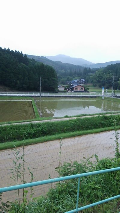 朝の散歩