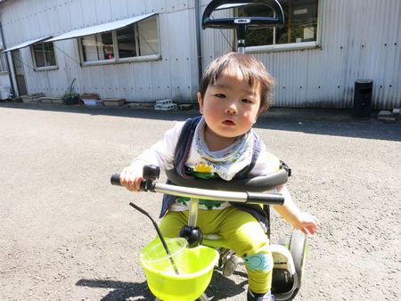 １歳になりました。