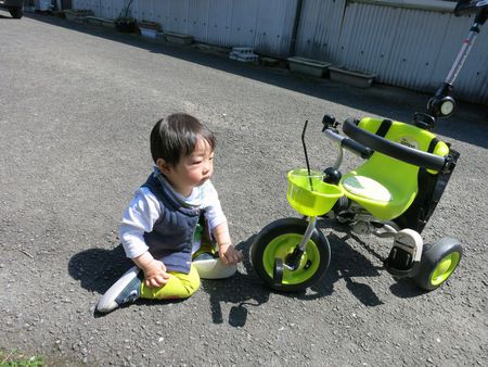 １歳になりました。