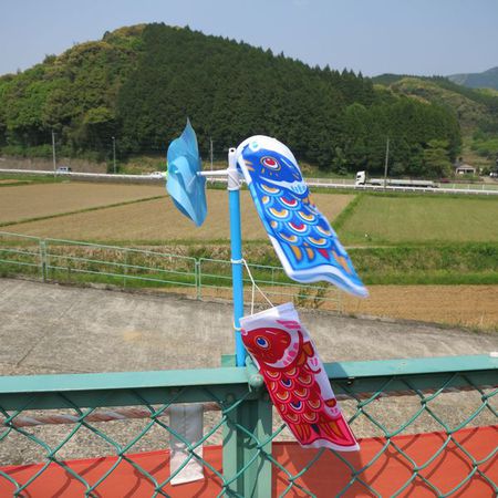 ちっちゃな　鯉のぼり　(*^。^*)