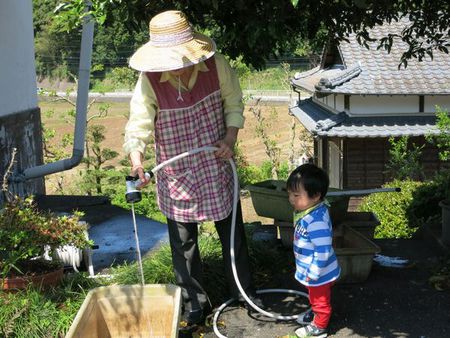 ゴーヤの苗植え