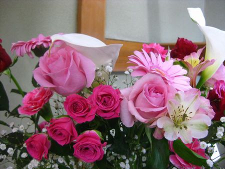 ま～だ・綺麗です。