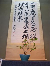 ブルーベリー盆栽鉢