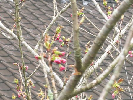 春の窯元市　終了