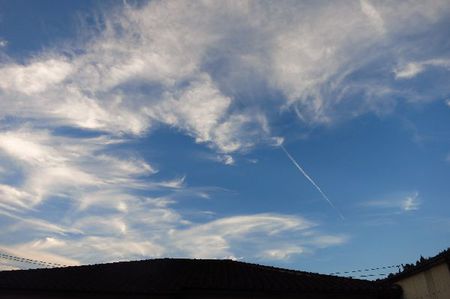 飛行機雲が綺麗！！