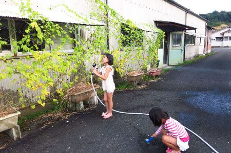 飛行機雲が綺麗！！