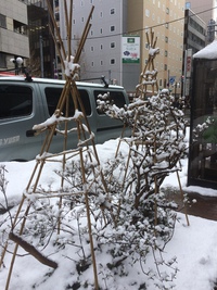 札幌東急  ２日目