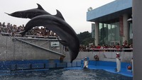 別府日帰りの旅