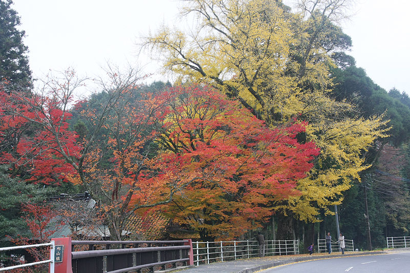 白石神社の紅葉