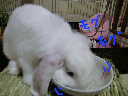 食べたあとは、眠くなるよねZZZ・・・
