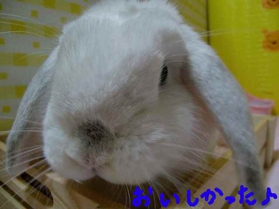 美味しいものには目がないの♪
