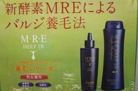 バルジ領域活性養毛法