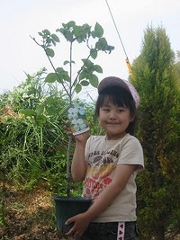 記念植樹