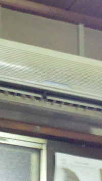 久しぶりの雨