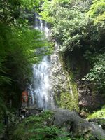 清水鯉青年部