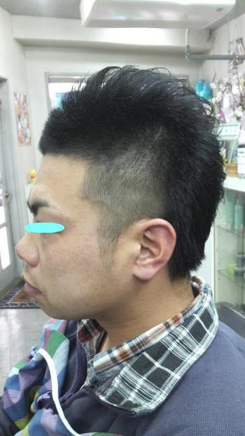 ★今週のﾋｯﾄﾏﾝ★