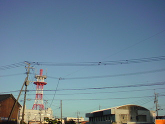 朝陽の中で微笑んで