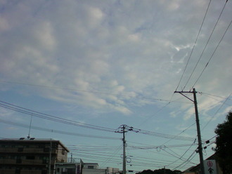 連休最終日！