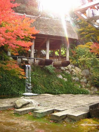 大川内山・紅葉♪
