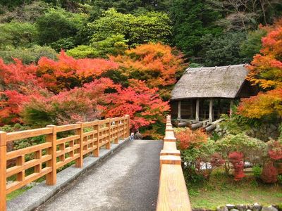 大川内山・紅葉♪