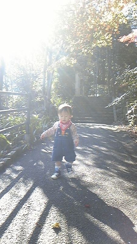 降ってきてます！