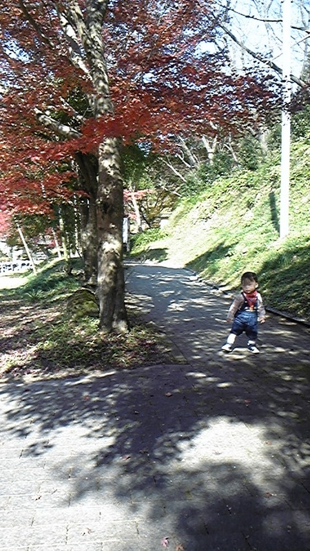 降ってきてます！