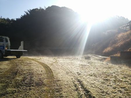 昨日の朝