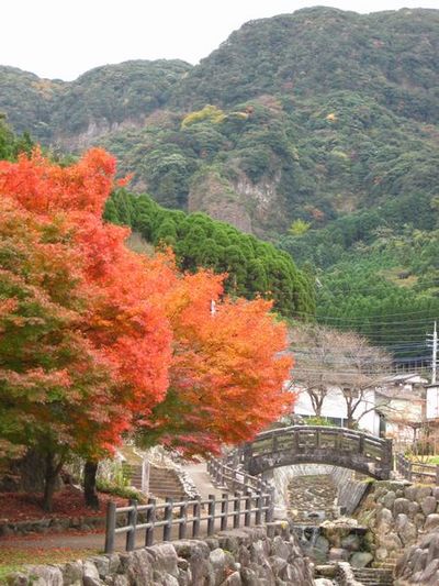 大川内山・紅葉♪