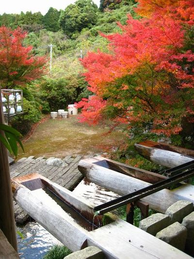 大川内山・紅葉♪