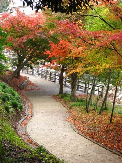 大川内山・紅葉♪