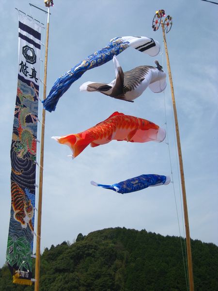孫の端午の節句