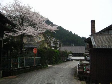 大川内山も春