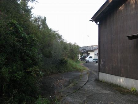蜘蛛の巣出現