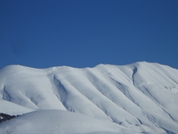雪を見に行きました