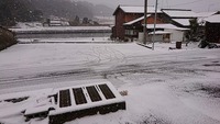 先週の雪景色(*^_^*)