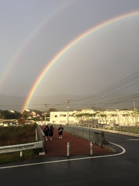 2014年12月19日