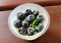 夏の三瀬村　ブルーベリーの実り