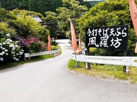 初瀬川～そば街道考～