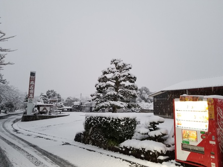 1月11日　積雪の朝