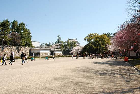 名古屋城へ行ってきました。