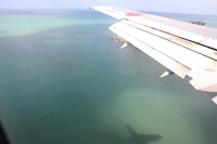 沖縄研修旅行