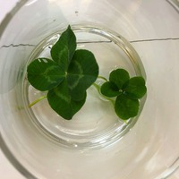 ◇◆上峰町新築賃貸物件のご紹介◆◇