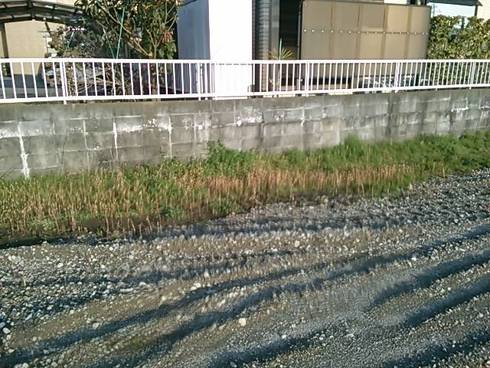 春が来た！！